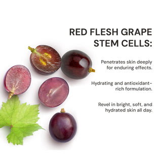 Intense White Day Cream with Red Flesh Grape Stem Cells | 50 g