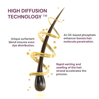 Raaga Professional Pro 10 Express brown hair colour